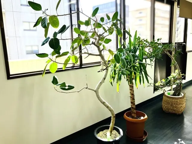 東海リアルエステート株式会社