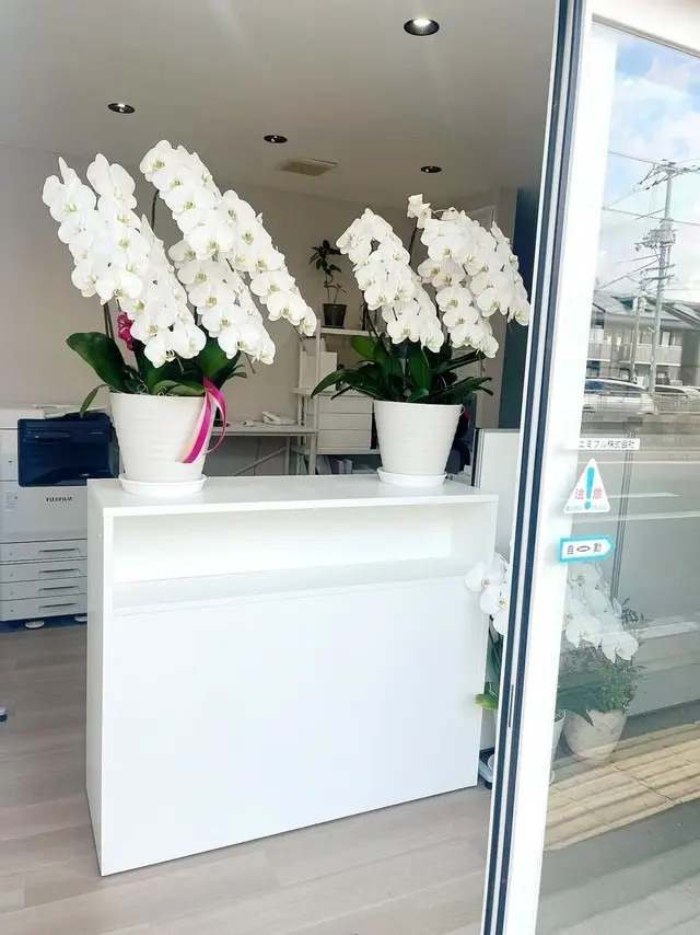 エミフル株式会社