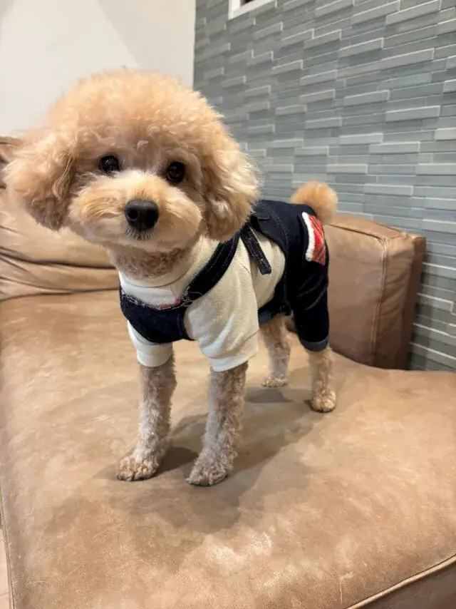 株式会社エヌイーコーポレーション