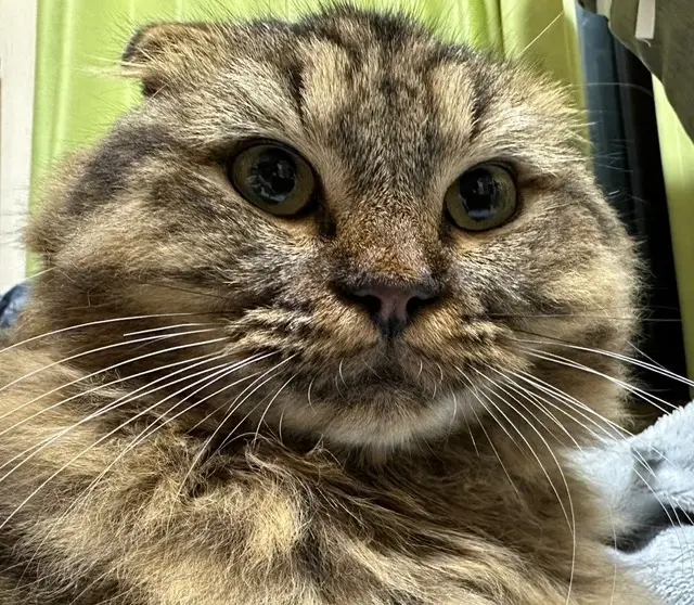 むつみ不動産株式会社