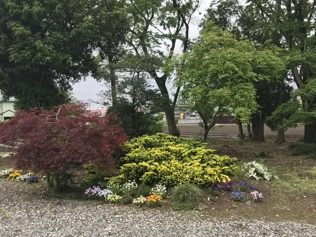 ネクストワン不動産株式会社